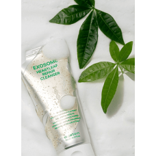 Очищающий гель с экзосомами Exosome Heartleaf Repair Cleanser